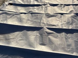 38.5m2 Genua Stagsegel