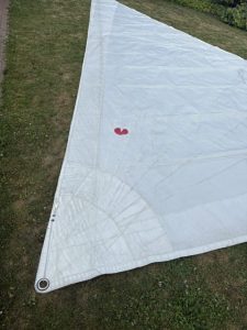 cropped-IMG_2988.jpg