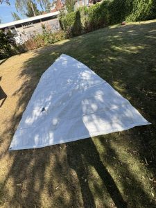 IMG_3329