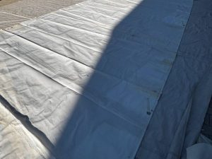MAINSAIL 31m2